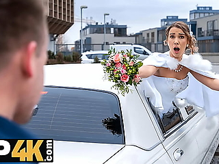 After a wild night, the bride and groom's friends chase them in a limo, leading to steamy encounters.